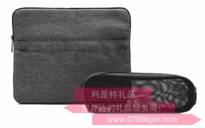 雅哲拉鏈式IPAD多用二件套