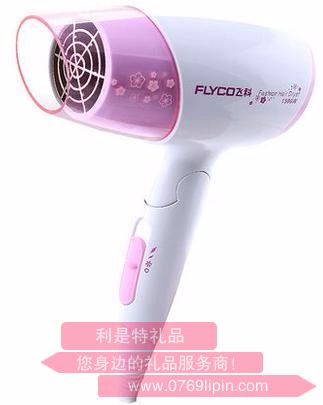 飛科吹風(fēng)筒 FH6623