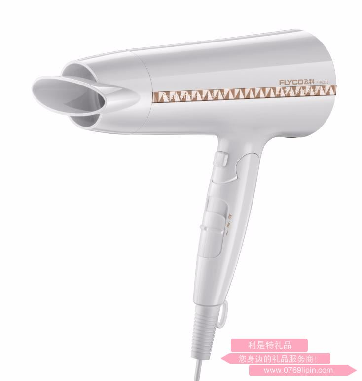 Flyco/飛科FH6228 負(fù)離子家用2000W大功率冷熱風(fēng) 發(fā)廊靜音電吹風(fēng)