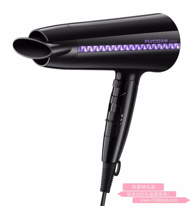 Flyco/飛科FH6229 負(fù)離子家用2000W大功率冷熱風(fēng) 發(fā)廊靜音電吹風(fēng)