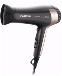 FLYCO/飛科FH6231 電吹風(fēng)機家用吹風(fēng)筒大功率2000W