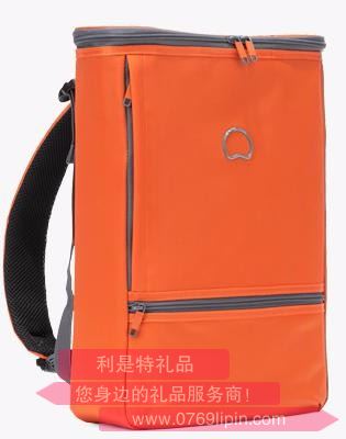 法國大使DELSEY 多用途雙肩背包 000014600