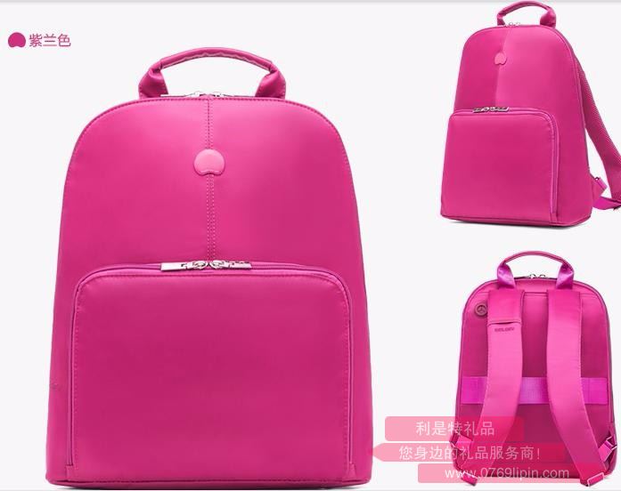 法國大使DELSEY 雙色手提包 703708600