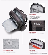 法國(guó)大使DELSEY 多功能電腦包 703702600