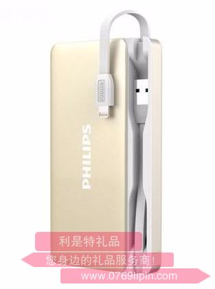 飛利浦移動(dòng)電源 DLP6066/93