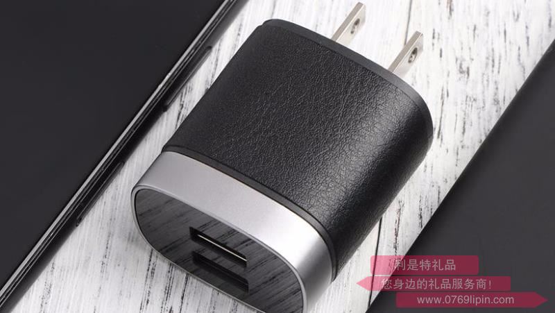 皮質(zhì)雙口USB充電器 C05
