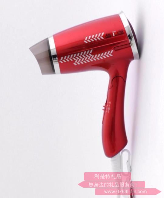 GD-231 愛家  電吹風(fēng)