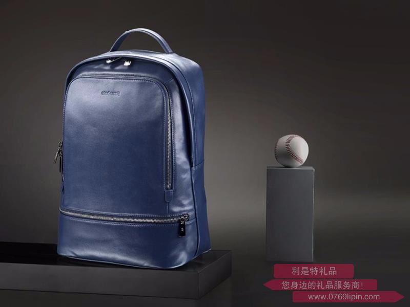 BN6*01001 新秀麗雙肩包