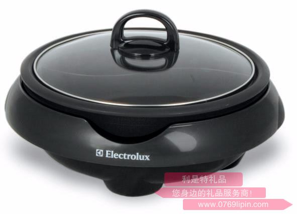 EGHP100 鴛鴦電火鍋