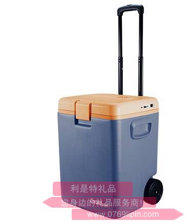 車管家車載冰箱 GJ-DC30