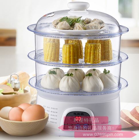 電蒸鍋 DZG-305