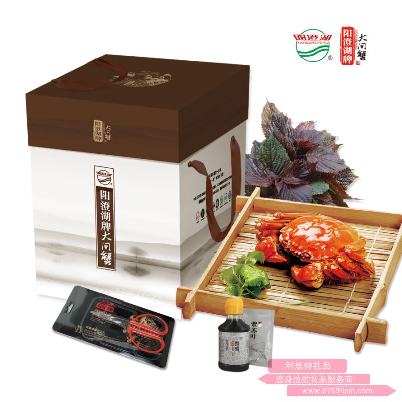 鵬程萬(wàn)里 型