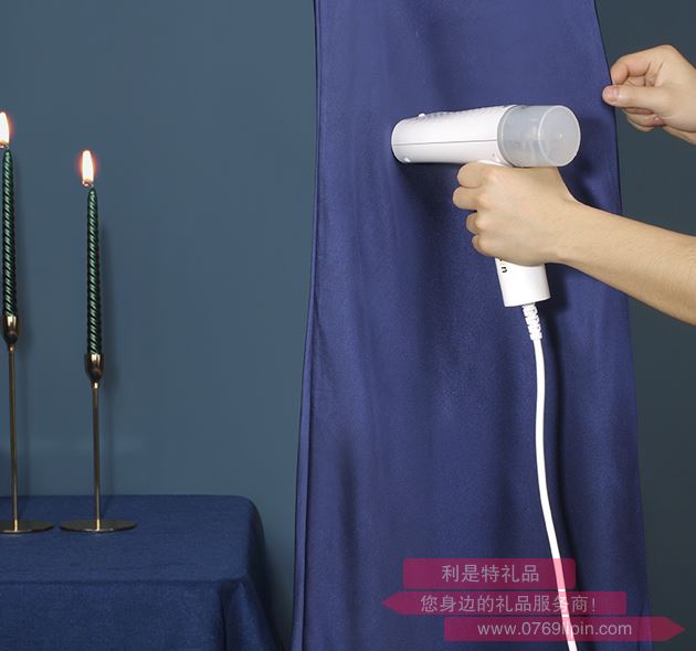 萊斯手持掛燙機(jī)L-GL9109S