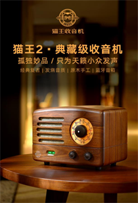貓王收音機(jī)·貓王2典藏級(jí)AM/FM收音機(jī)/藍(lán)牙音箱 R602BPW 胡桃木