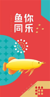 國(guó)民糧油·魚你同樂【伍型】