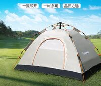 自動(dòng)帳篷(3-4人)DFJ-112