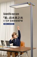 西屋Westinghouse智控版落地護眼燈WGS100