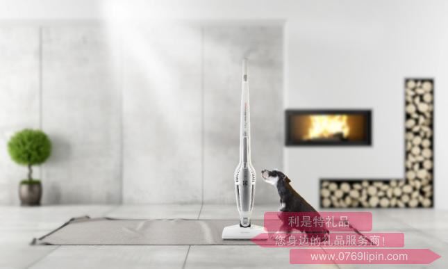ZB3150無線直立式吸塵器.jpg ZB3150無線直立式吸塵器.jpg