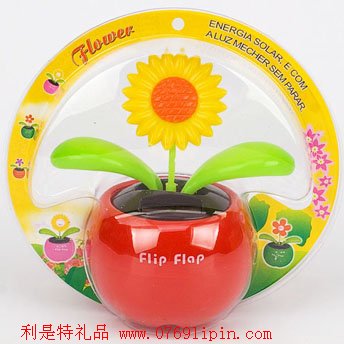 太陽能蘋果花002